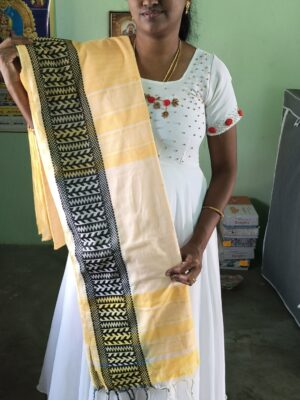 Soft Cotton Saree with border