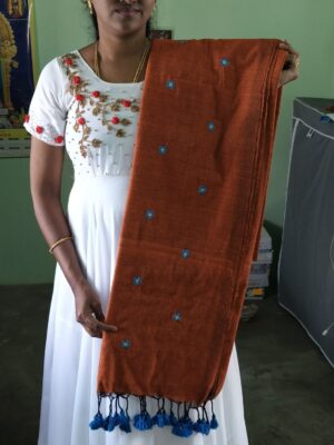 Cotton Saree with Embroidery