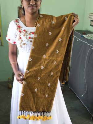 Cotton Saree with Embroidery