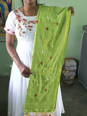 Cotton Saree with Embroidery