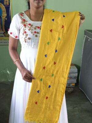 Cotton Saree with Embroidery