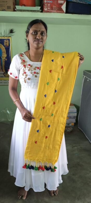 Cotton Saree with Embroidery