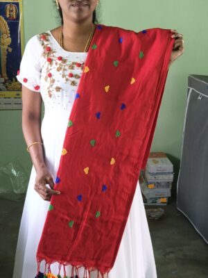 Cotton Saree with Embroidery