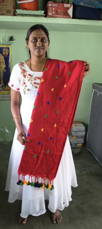 Cotton Saree with Embroidery