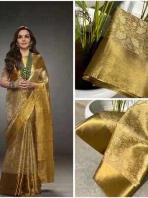 Nita Ambani Saree